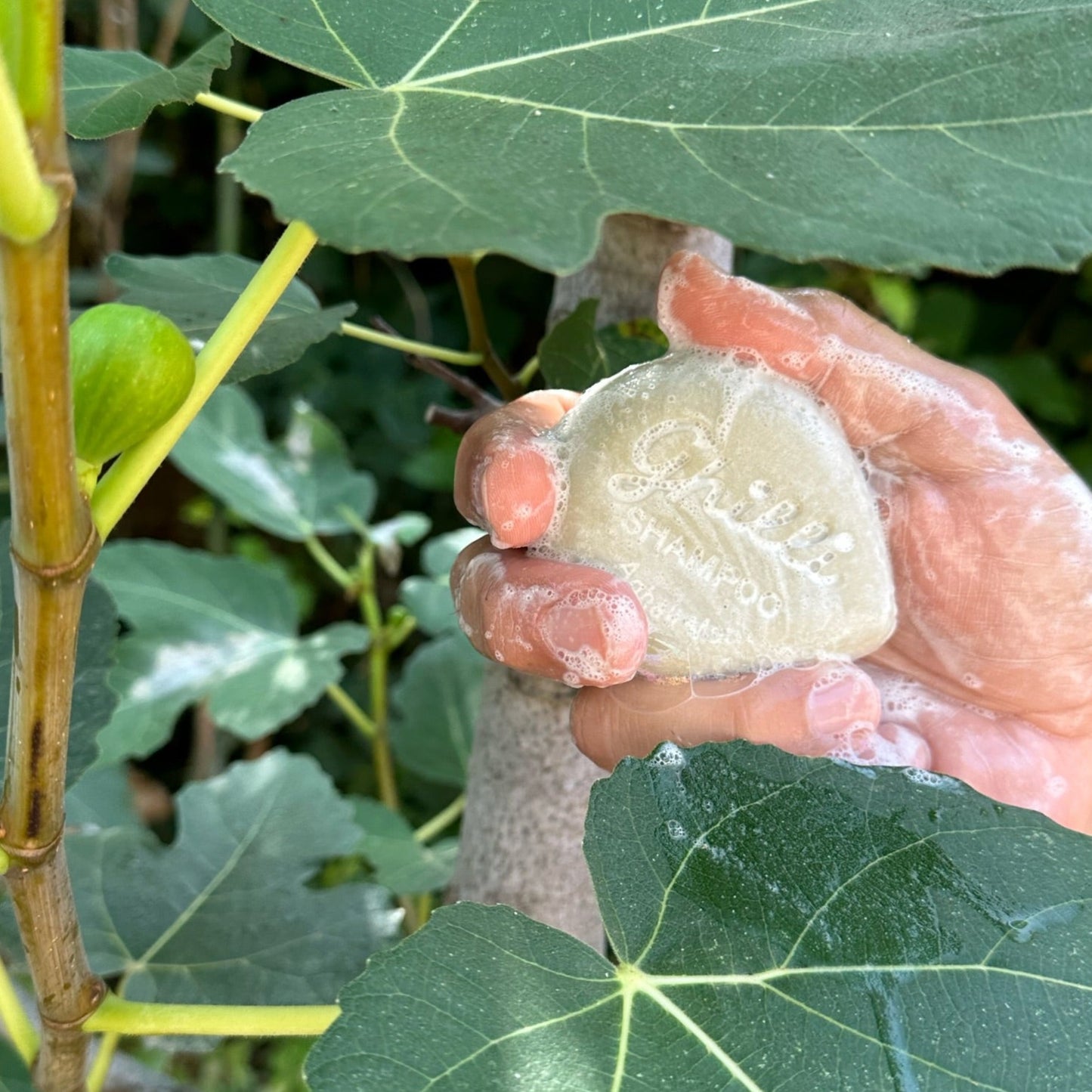 SHAMPOO BAR AGHALI MARI